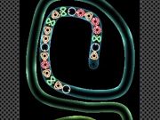 Hra TD Neon Shoot online