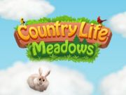 Hra Country Life Meadows online