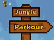 Hra Parkour online