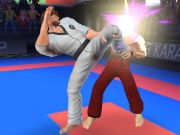 Hra Karate bojovník online Hra Karate bojovník online