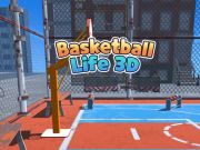 Hra Basketbalový život 3D  online