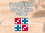 Hra Domino Master Pro online