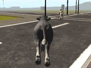Hra Crazy Bull City  online