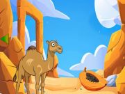 Hra Camel hľadá svoje dieťa online