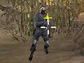 Hra Blesková kríza  online
