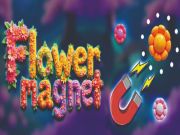 Hra Kvetinový magnet online