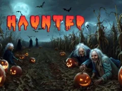 Hra Haunted Pumpkin Rescue online