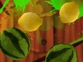 Hra Fruit Break online
