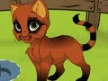Hra My Kitten online