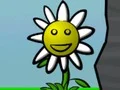 Hra Flower Power online
