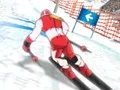 Hra Winter Sports: Slalom Hero online