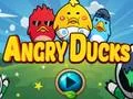 Hra Angry Ducks online