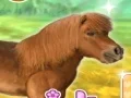 Hra My Dear Pony online