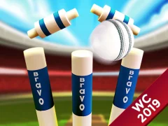 Hra Mini Cricket: Ground Championship World Cup 2019 online