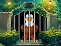 Hra Dauntless Eagle Escape online