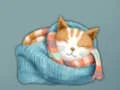 Hra Adorable Escape Find Cute Kitten online