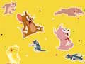 Hra The Tom and Jerry Show Find it! online