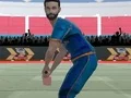 Hra Cricket Powerplay online
