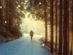 Hra Winter Hidden Stars online