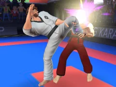 Hra Karate Fighter online