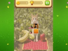 Hra Farm Cat Memory Match online