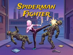 Hra Spiderman Fighter online