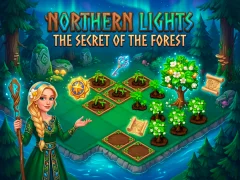 Hra Northern Lights - The Secret Of The Forest online