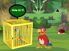 Hra Release Trapped Macaw Buddy online