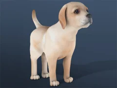 Hra IDLE Pet online