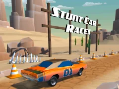 Hra Stunt car Races online