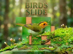 Hra Birds Slide online