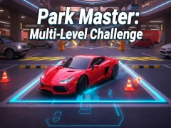 Hra Park Master: Multi-Level Challenge online