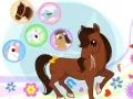 Hra Ponies in the city online