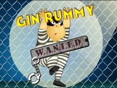 Hra Gin Rummy online
