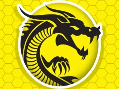 Hra Kung Fu Fury online