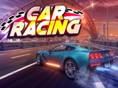 Hra Car Racing online