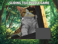 Hra Sliding Tile Puzzle Game online