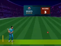 Hra Cricket Night 2 online
