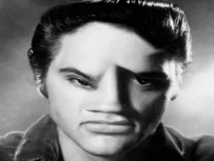 Hra Elvis Funny Face online