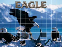 Hra Eagle online