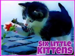 Hra Six Little Kittens online
