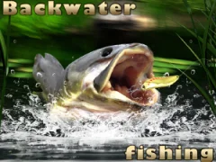 Hra Backwater Fishing online