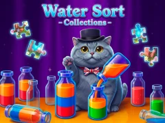 Hra Water Sort - Collections online