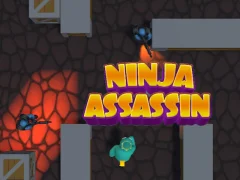Hra Ninja Assassin online