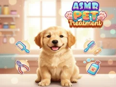 Hra Asmr Pet Treatment online