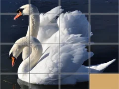 Hra Animals Slide Puzzle online