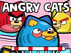 Hra Angry Cats online