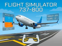 Hra Flight Simulator 737-800 online