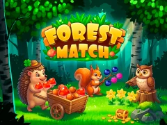 Hra Forest Match online