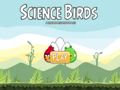 Hra Science Birds online